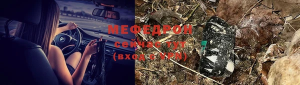 гашик Арсеньев