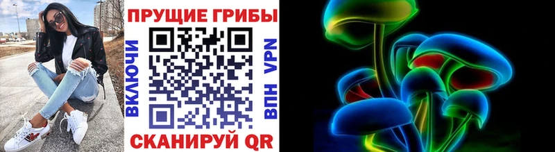 Галлюциногенные грибы Cubensis Ельня